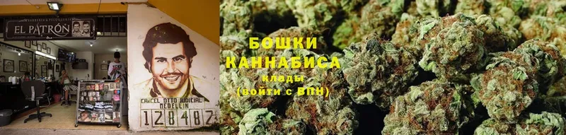 Каннабис SATIVA & INDICA  дарнет шоп  Балтийск 